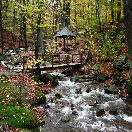 With Private Pool 펜션