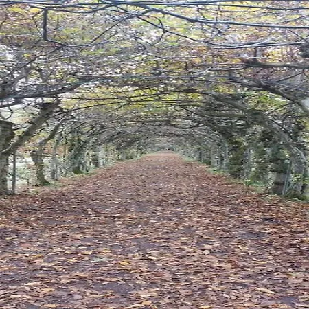 With Private Pool 스파